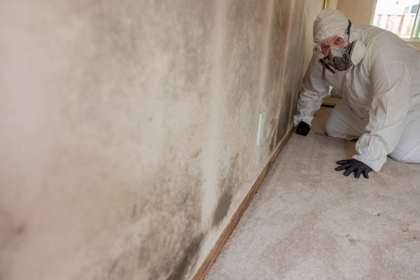 Forensic Mold Investigation