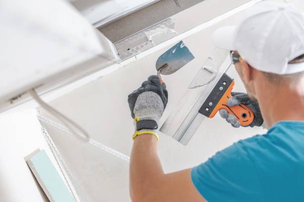 Best Black Mold Removal  in Corinth, MS